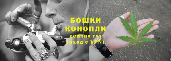 ПСИЛОЦИБИНОВЫЕ ГРИБЫ Зеленодольск