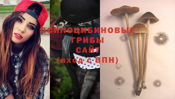 ПСИЛОЦИБИНОВЫЕ ГРИБЫ Зеленодольск